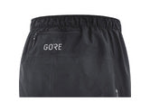 GTX Paclite Pants Mens