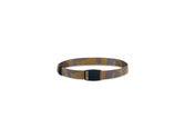 Mons Belt